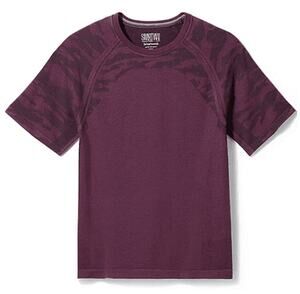 Smartwool Men's Intraknit Active Short Sleeve Tee Eggplant Size M
